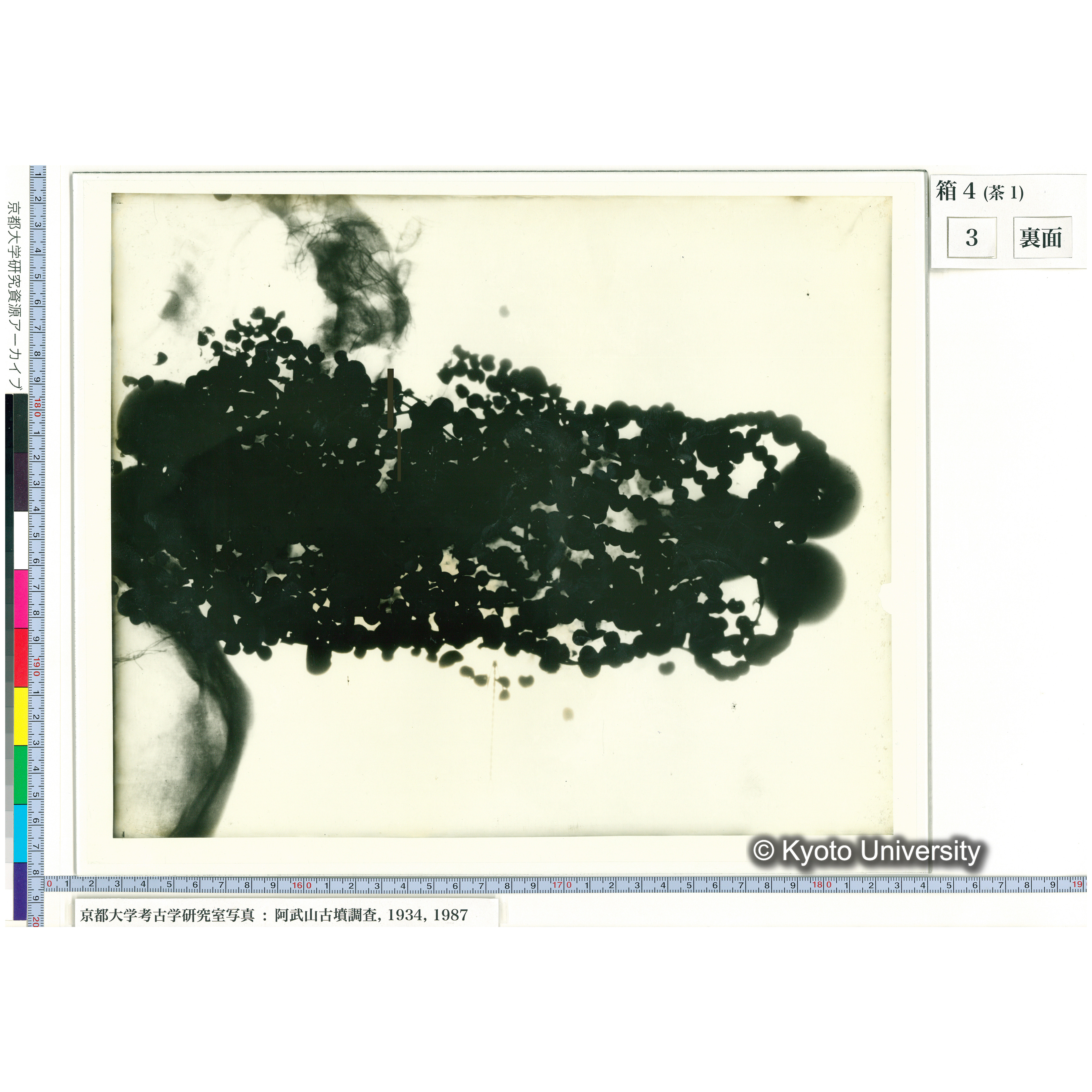 [乾板] 玉枕レントゲン２ (2)