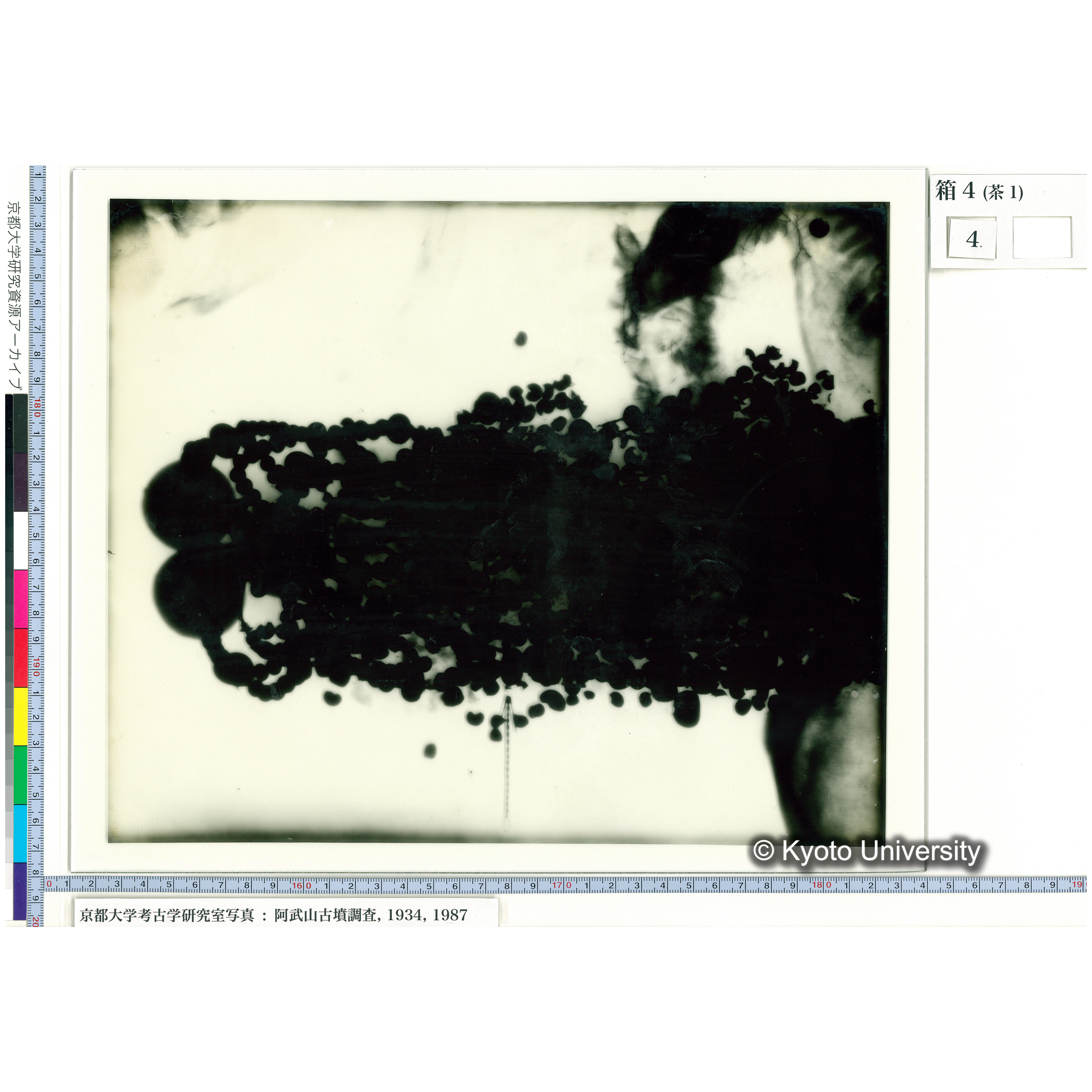 [乾板] 玉枕レントゲン３ (1)