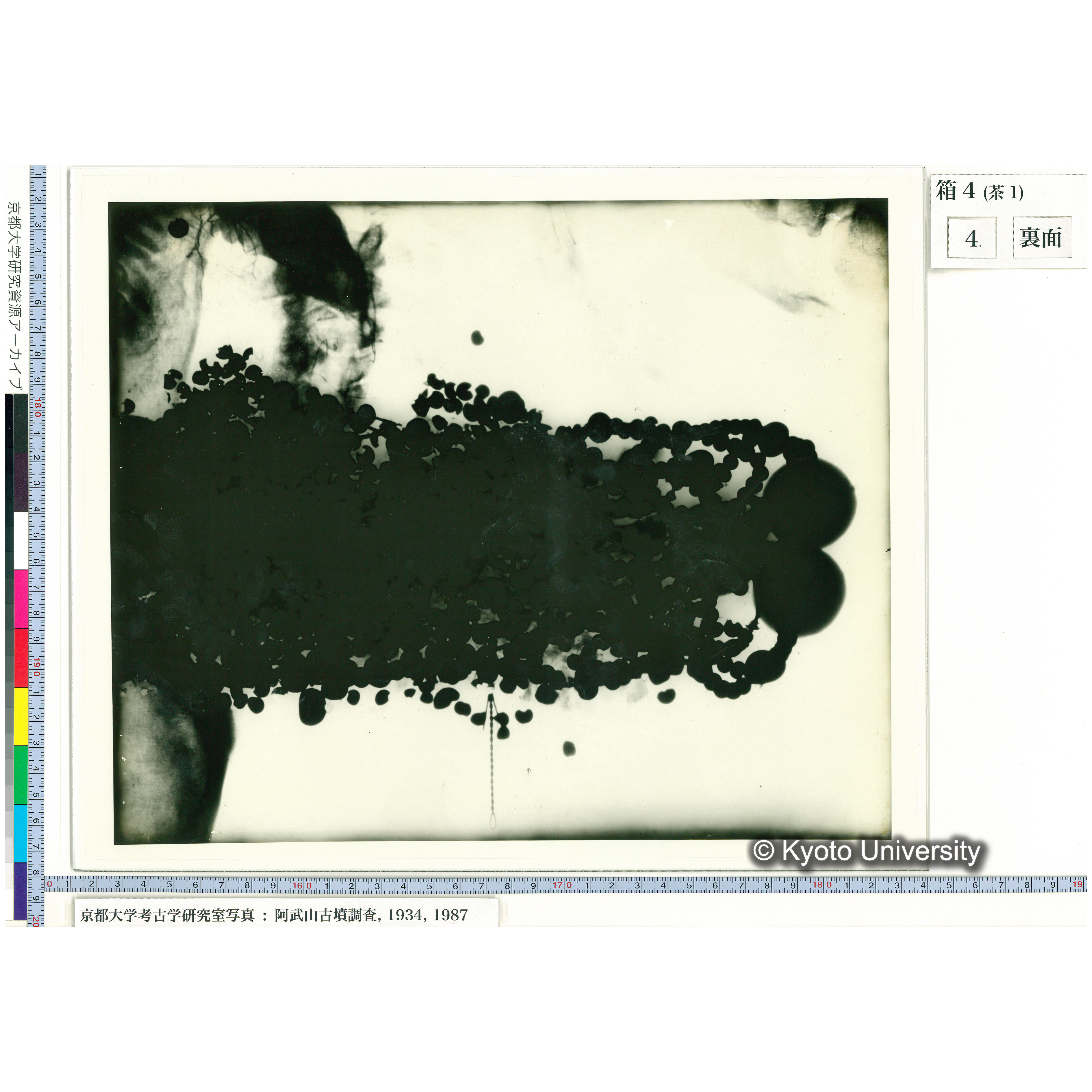 [乾板] 玉枕レントゲン３ (2)