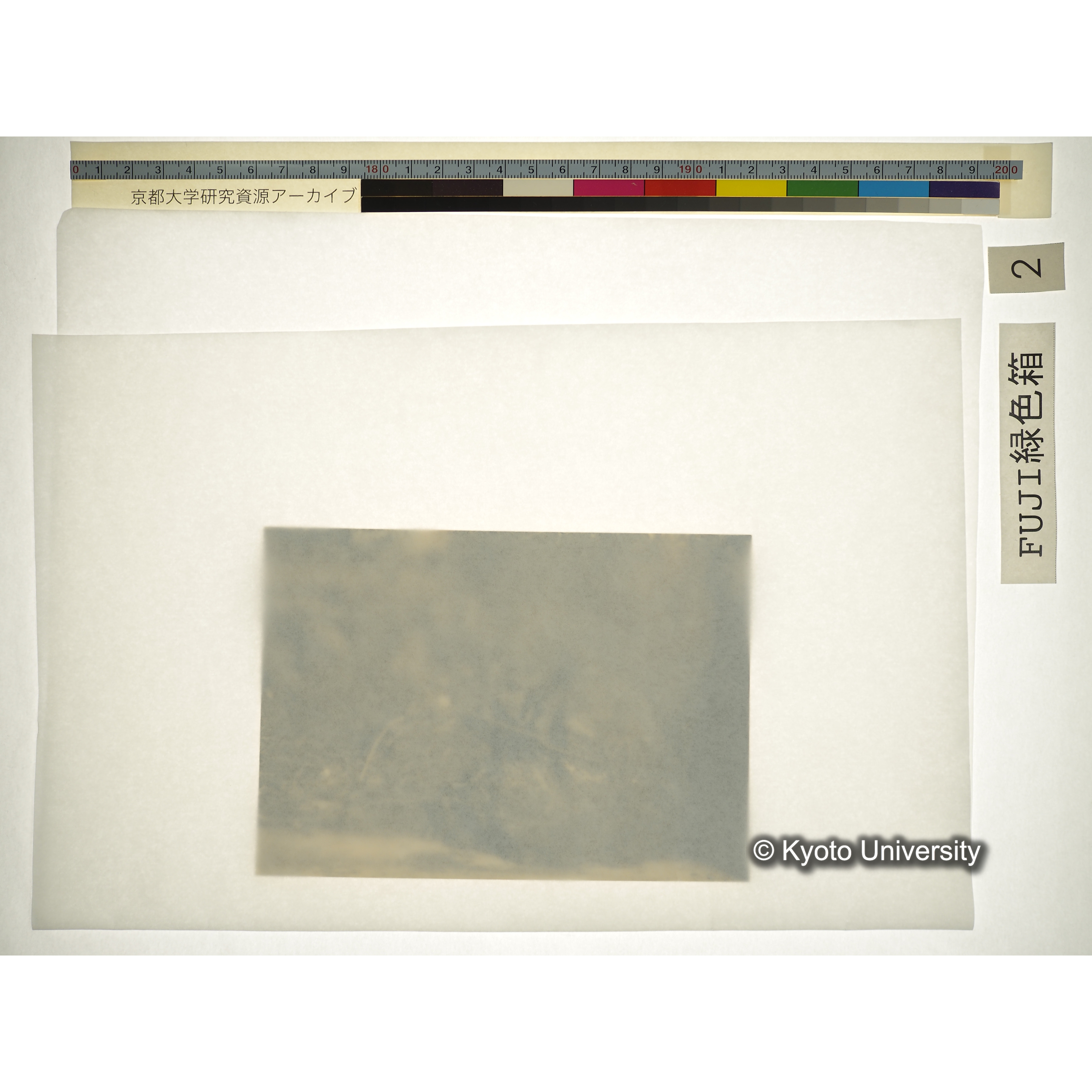 [プリント] 棺内頭部 (2)