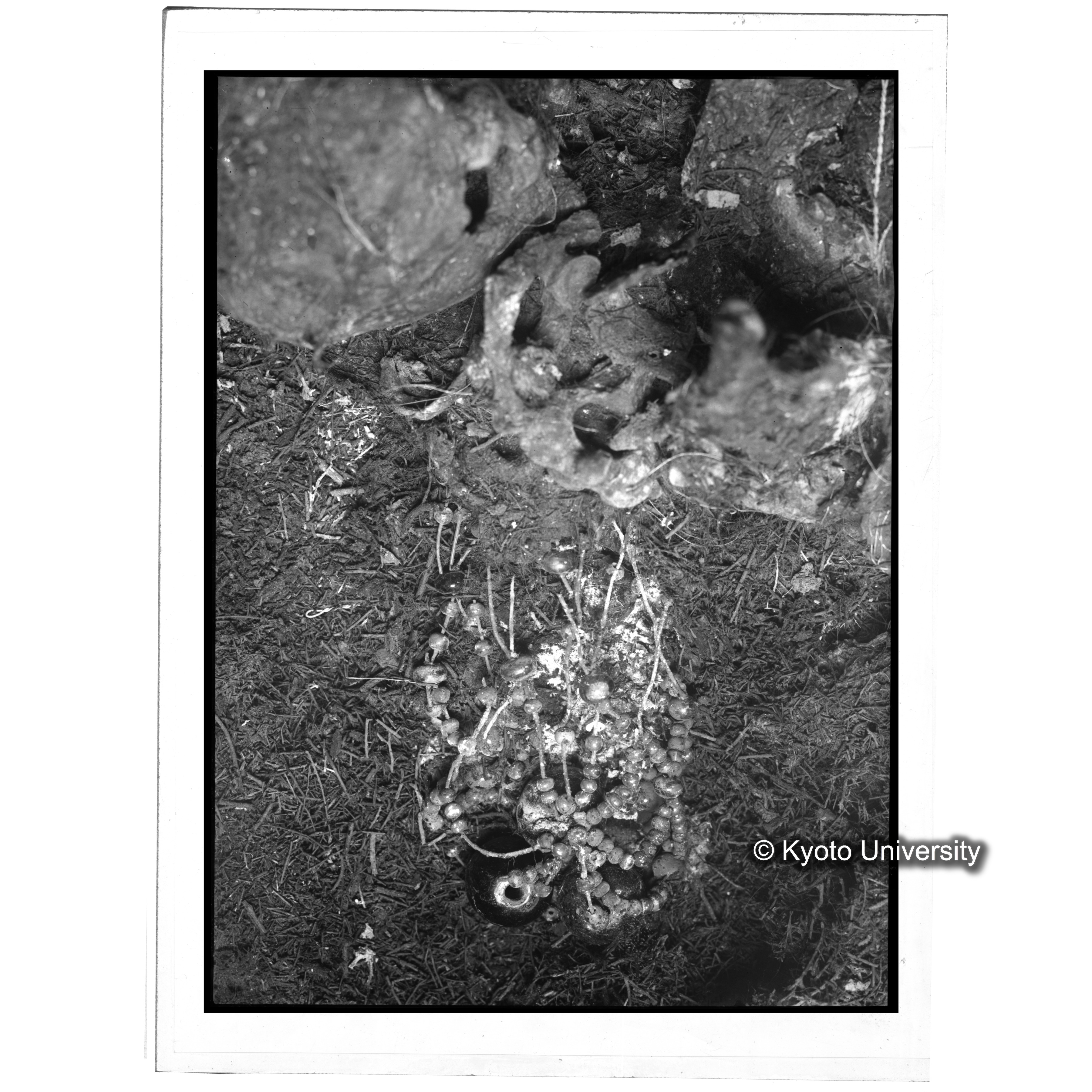 [写真内容] 玉枕 (1)