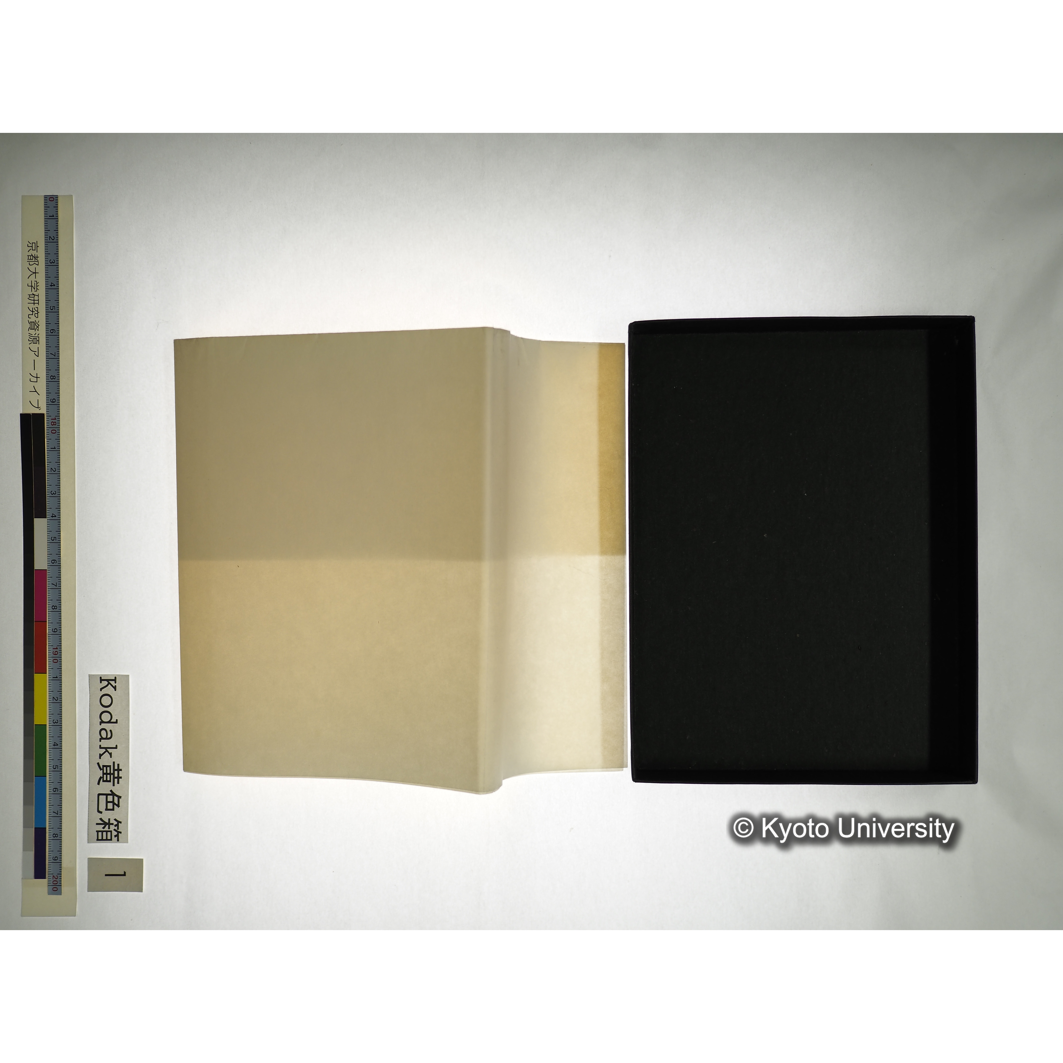 [Kodak 黄色箱] [阿武山古墳調査写真1] (24)