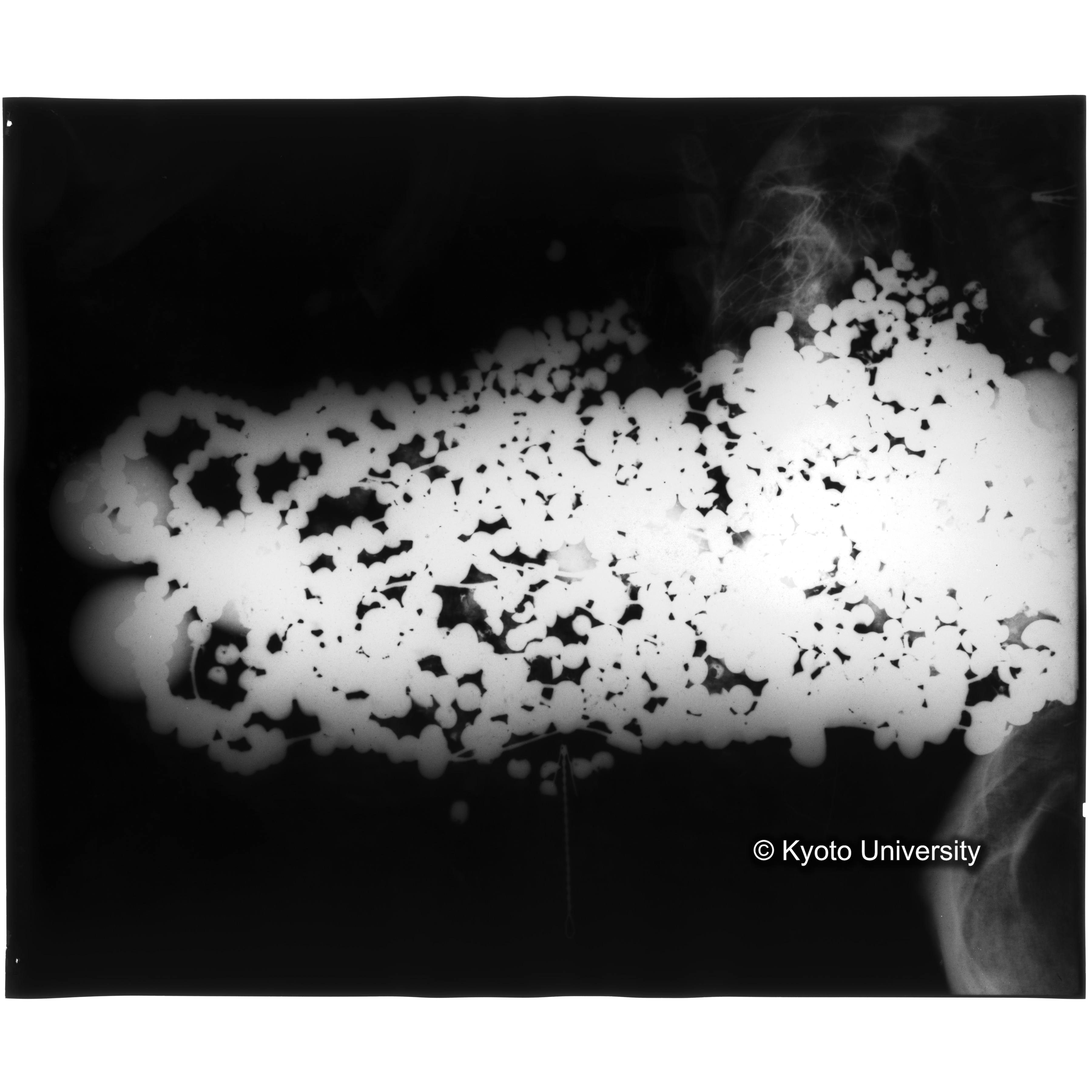 [写真内容] 玉枕レントゲン４ (3)