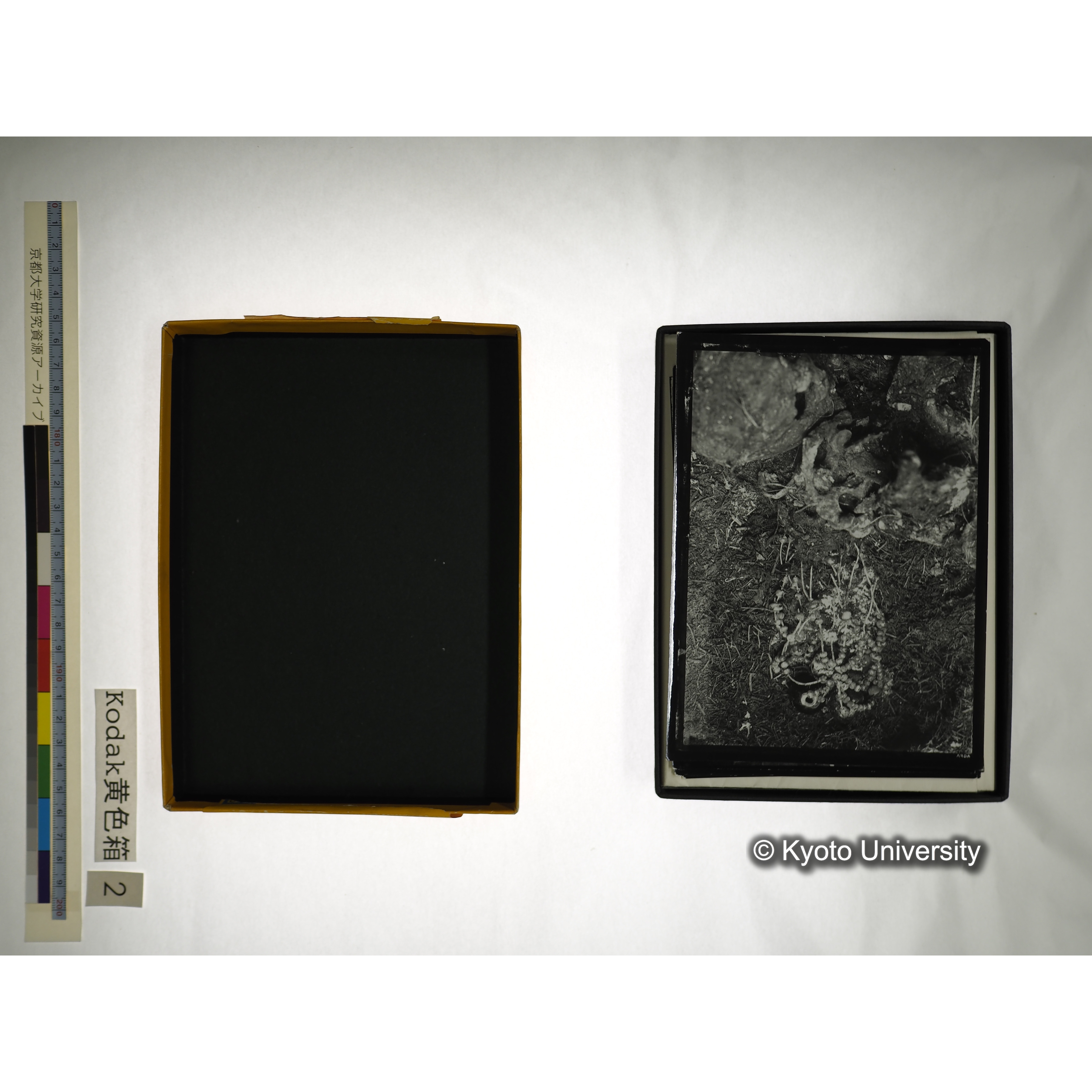 [Kodak 黄色箱] [阿武山古墳調査写真2] (6)