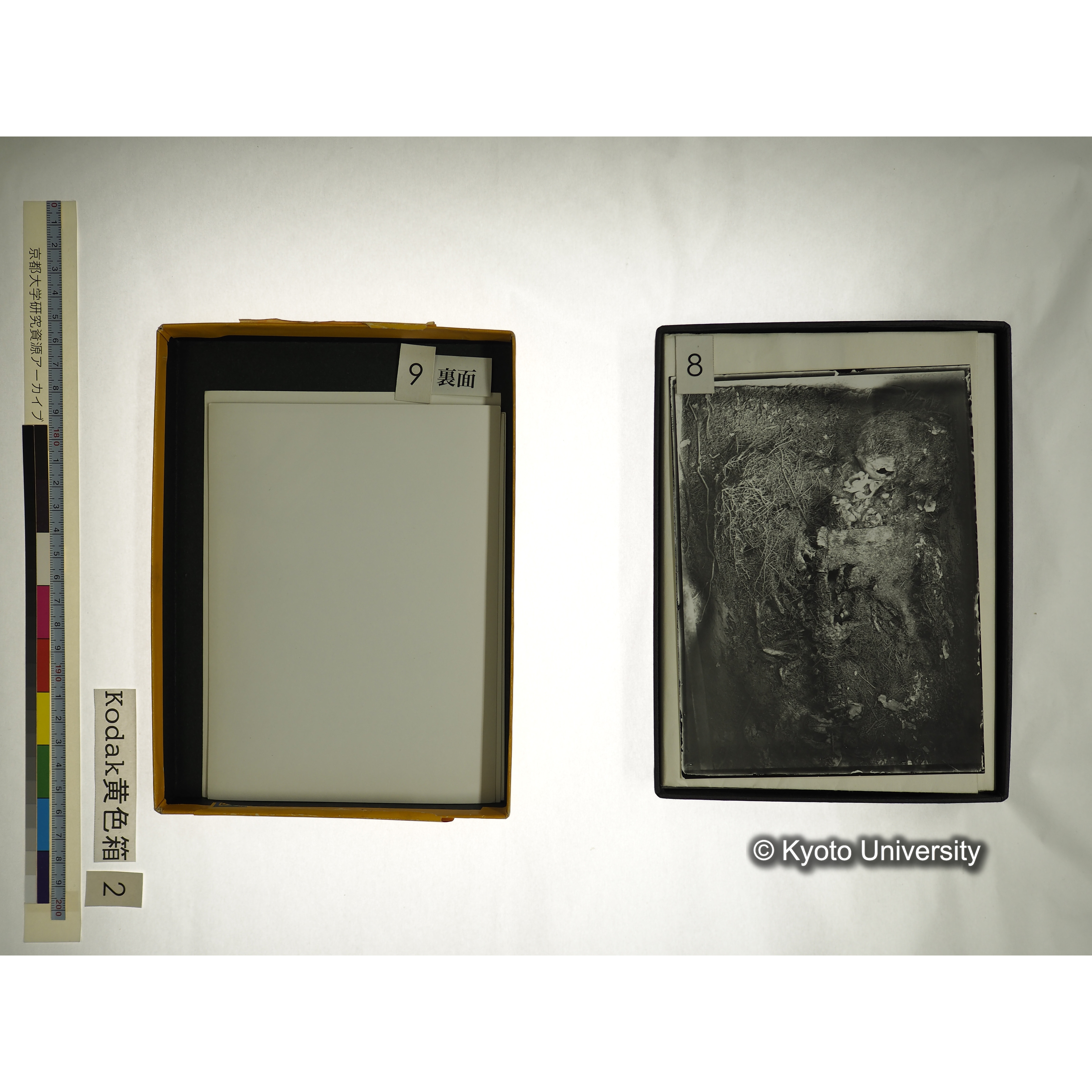 [Kodak 黄色箱] [阿武山古墳調査写真2] (11)