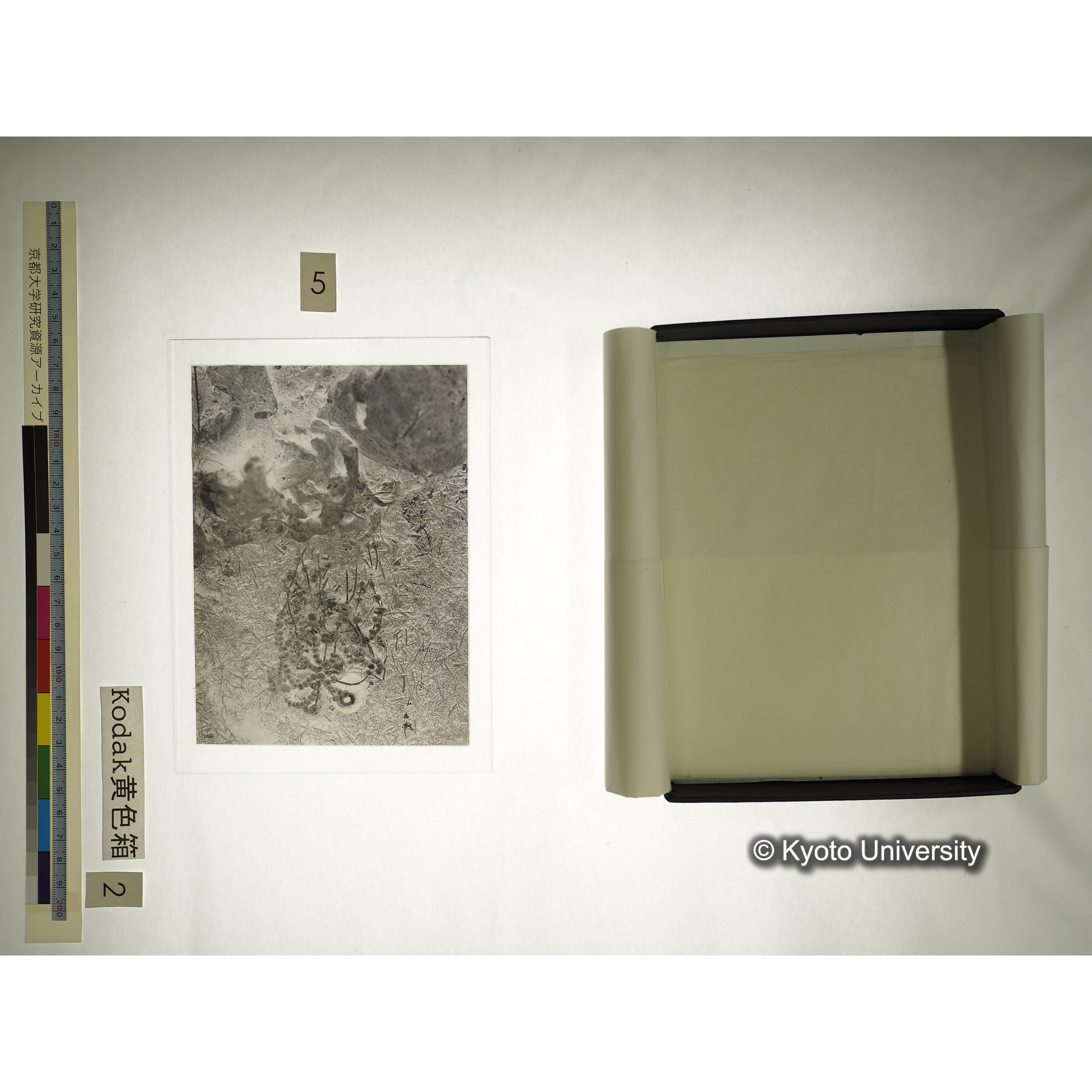 [Kodak 黄色箱] [阿武山古墳調査写真2] (23)