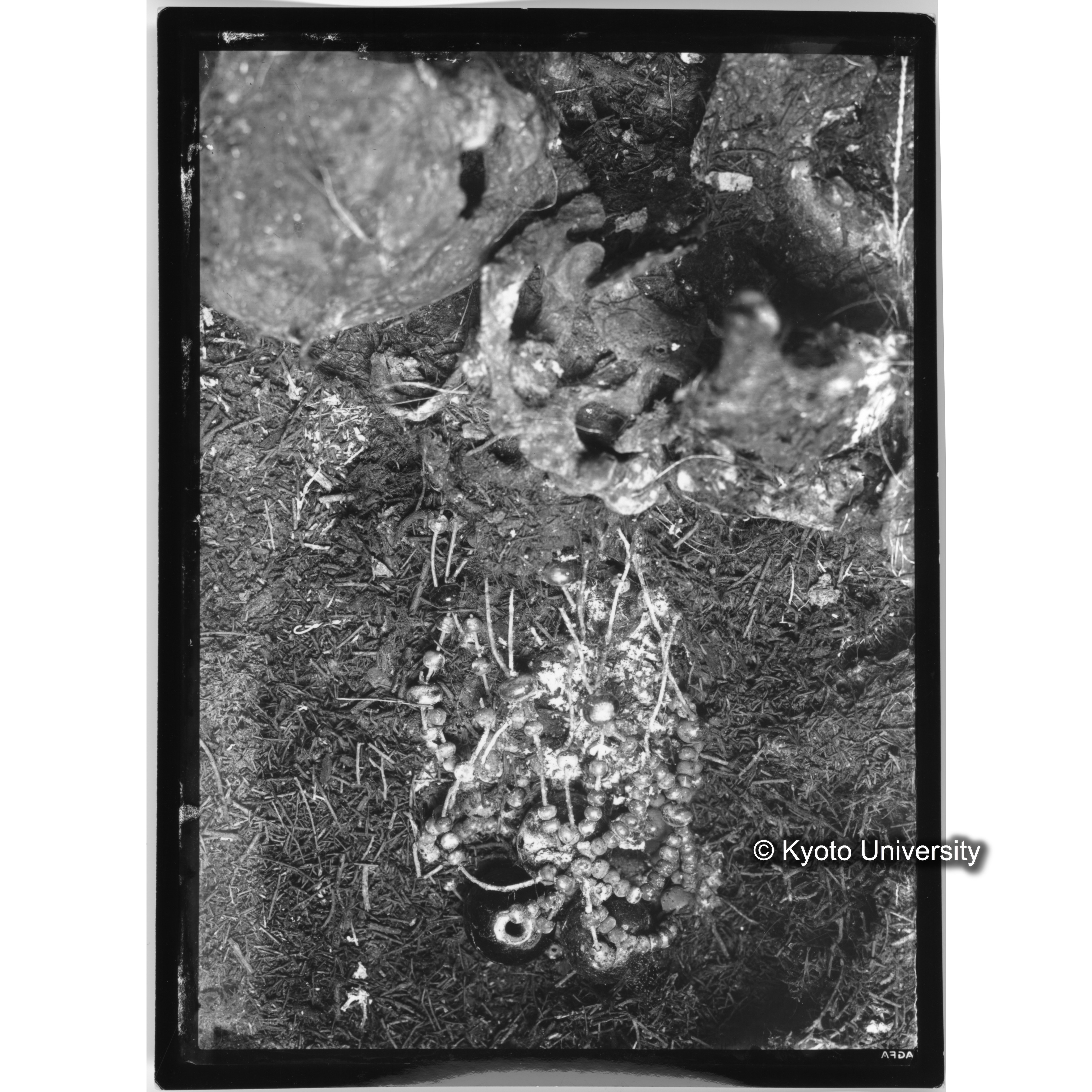 [プリント] 玉枕 (1)