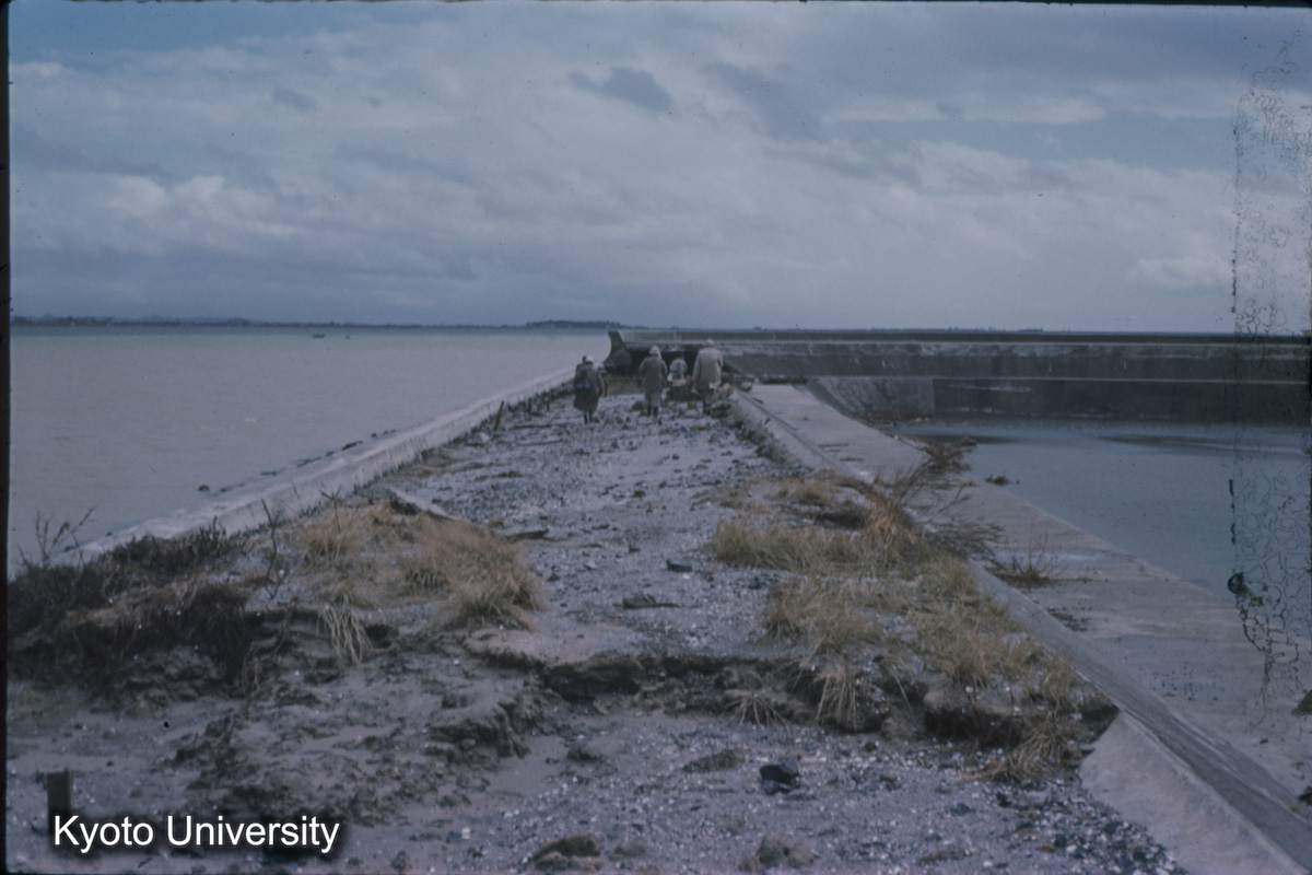 阿久比川河口堤防（1959） (1)