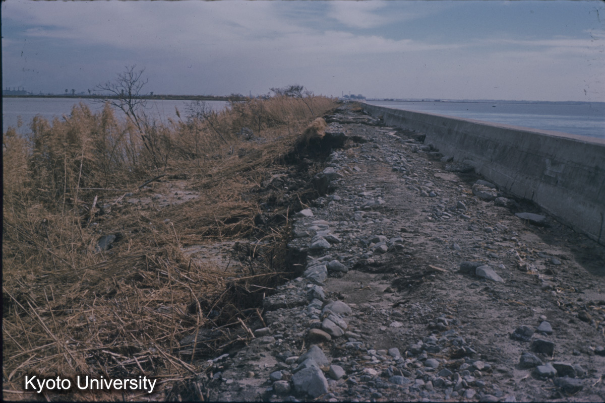 鍋田干拓　前面堤（1959） (1)