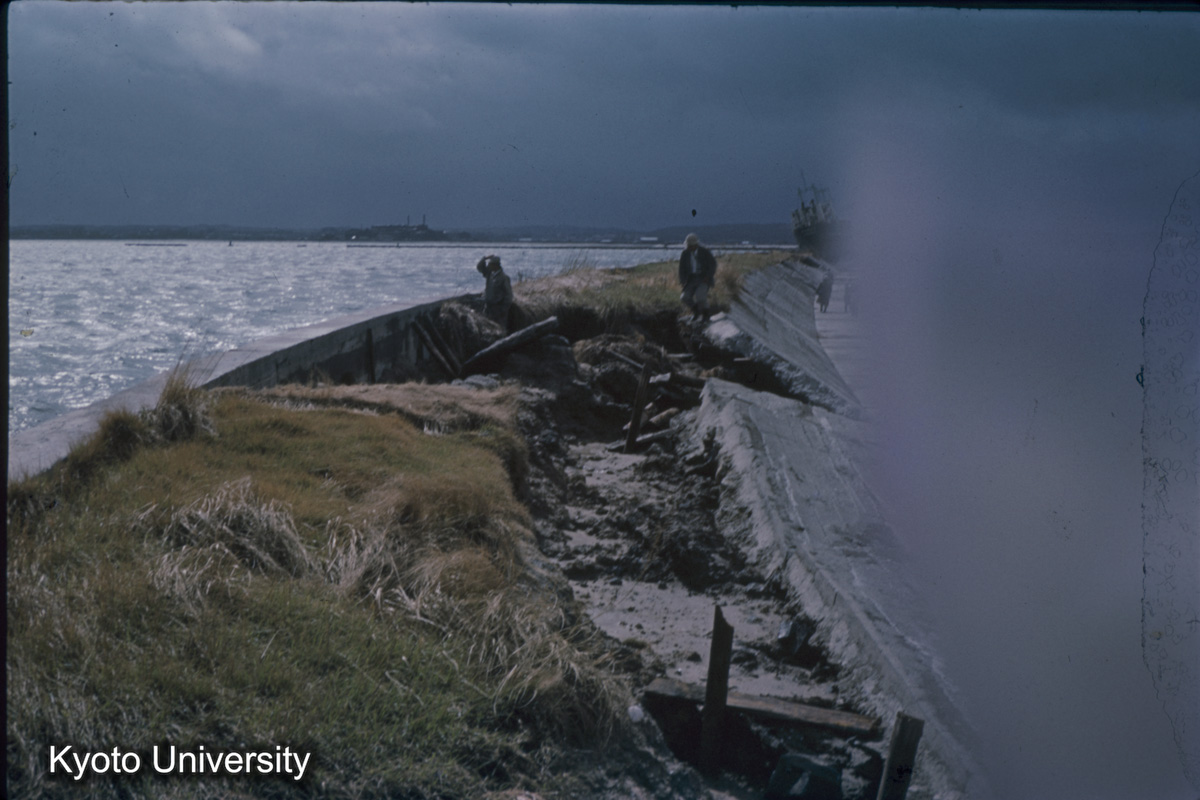 半田市海岸　康衛新田（1959） (1)