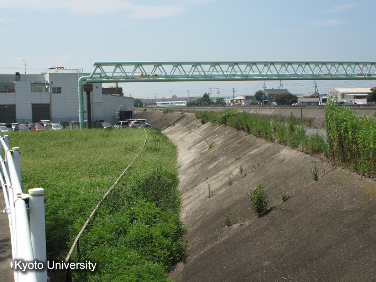 半田市海岸　康衛新田（2010） (1)