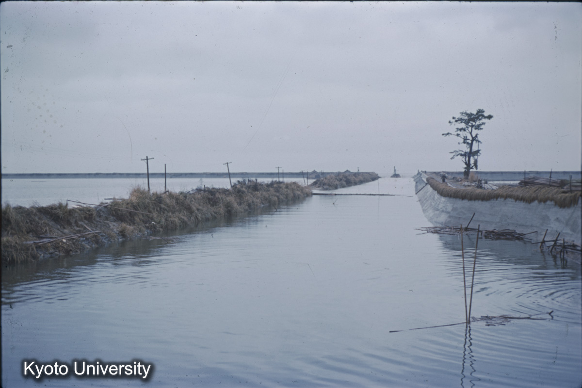 川北・南昇録新田間（入江堤）（1959） (1)
