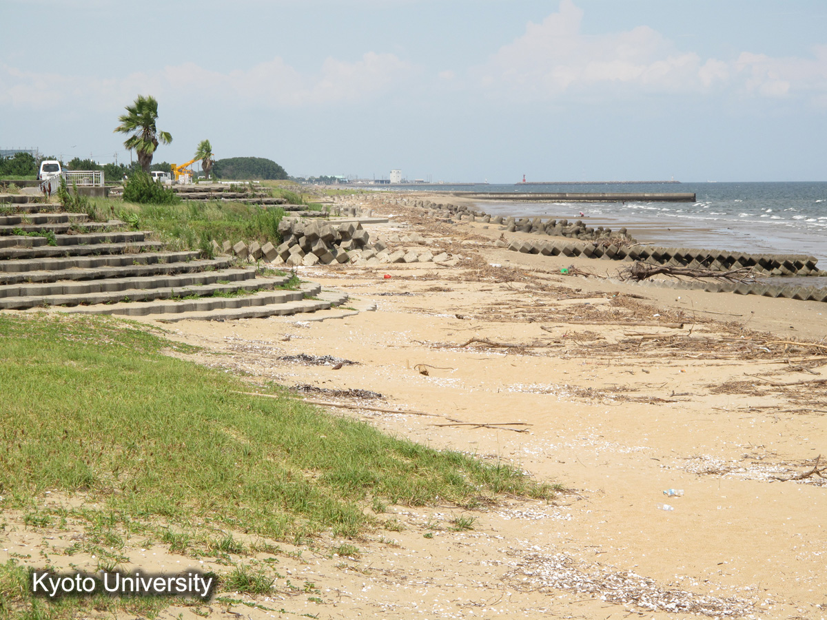津管内　田中川　樋門の北（2010） (1)