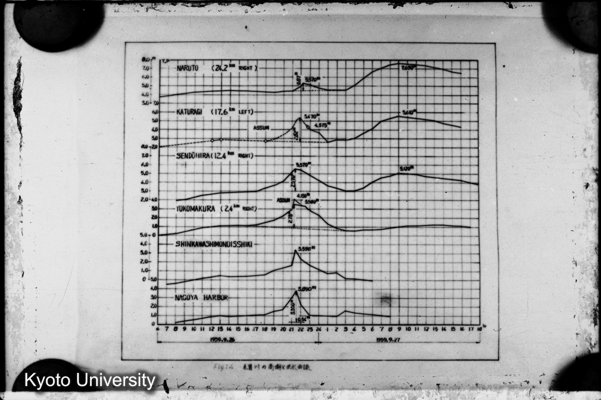 Fig. 4 木曽川の高潮と洪水曲線 (1)