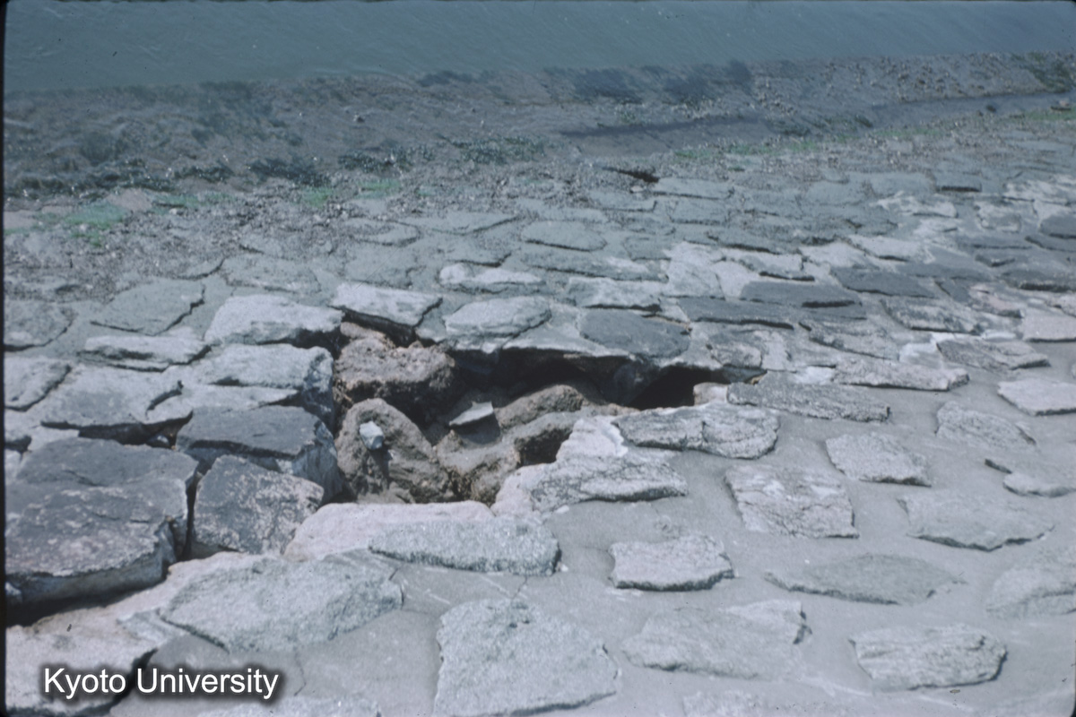 名古屋港（1959） (1)