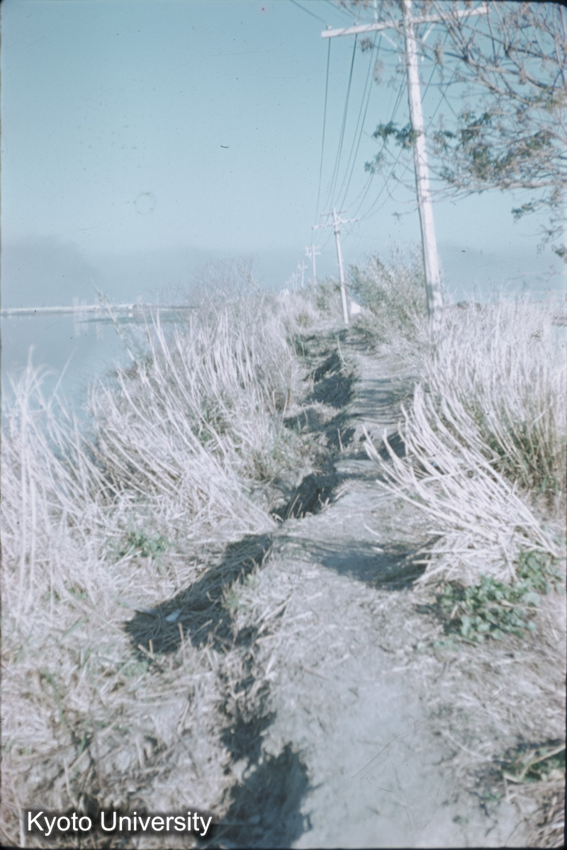 鍋田干拓旧堤（1959） (1)