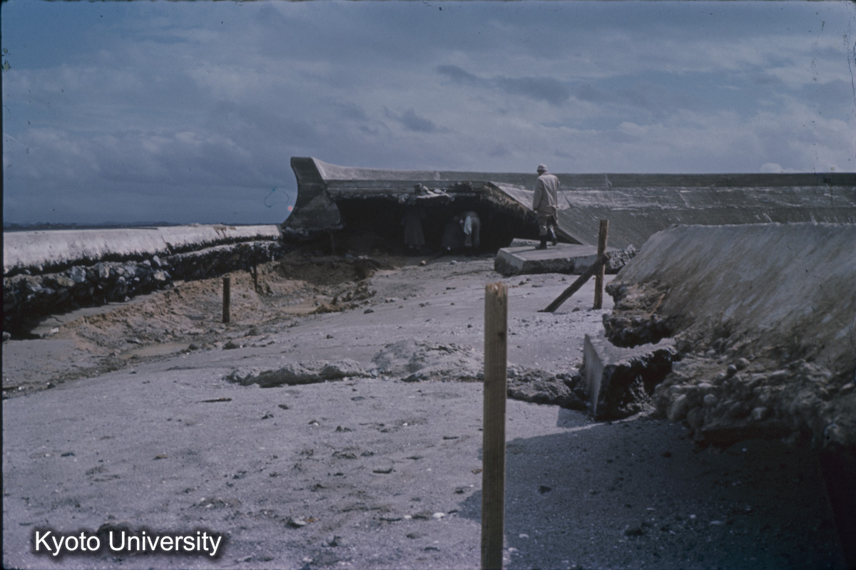 半田市海岸　康衛新田（1959） (1)