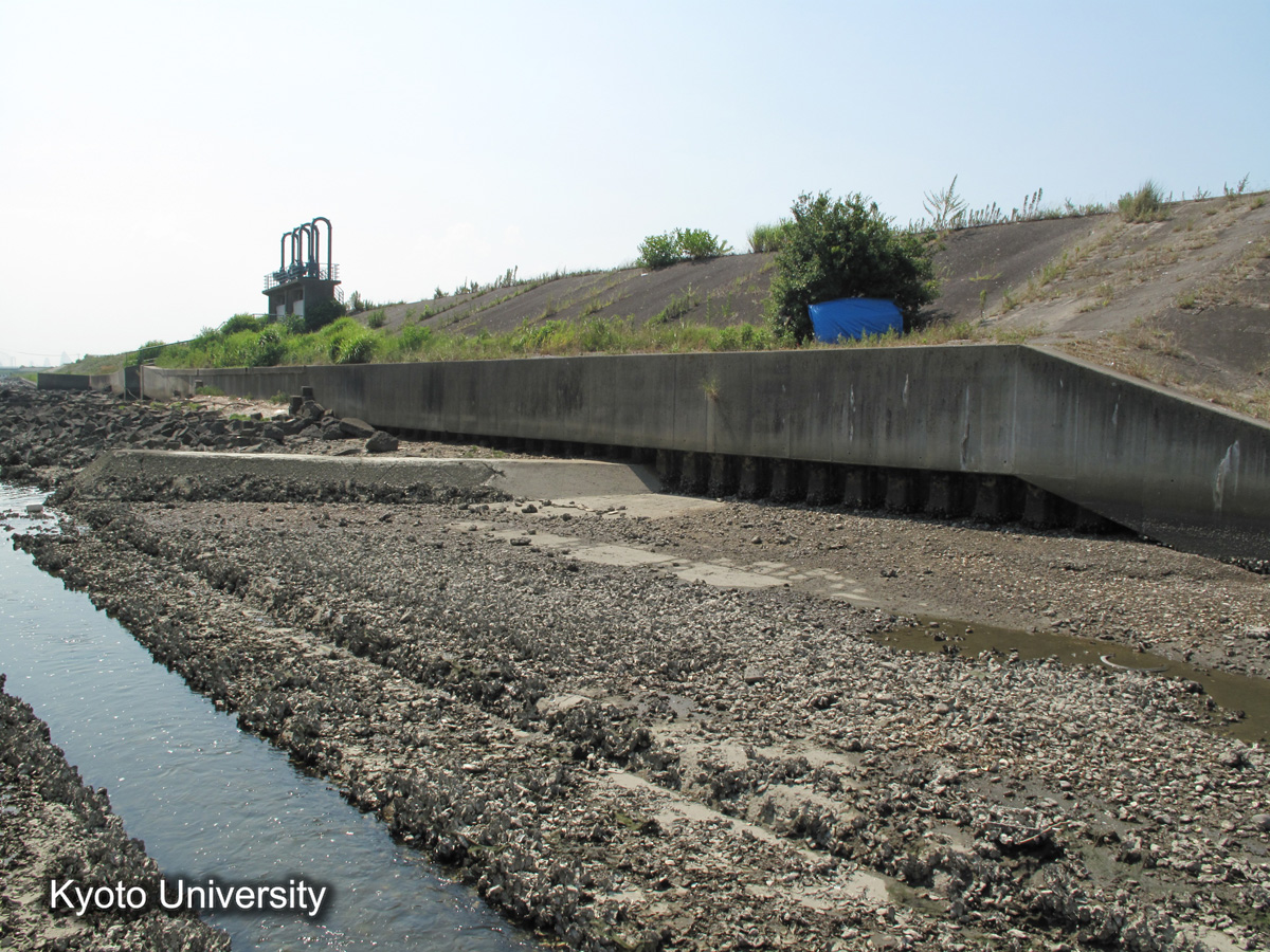 鍋田干拓　前面堤（2010） (1)