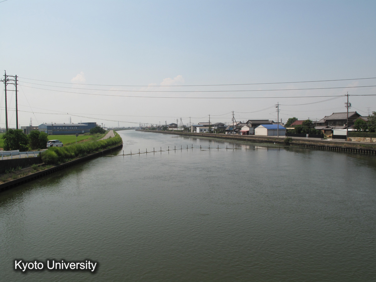 筏川右岸堤　破堤箇所（2010） (1)