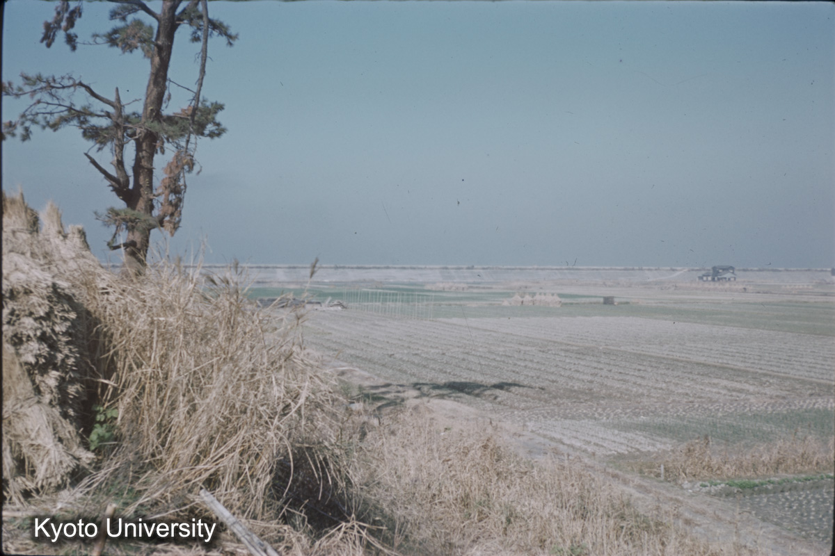 上野横須賀海岸（1959） (1)