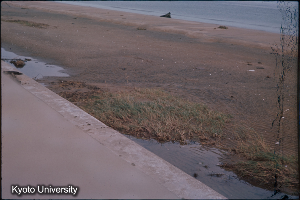 津管内　田中川　樋門の北（1959） (1)