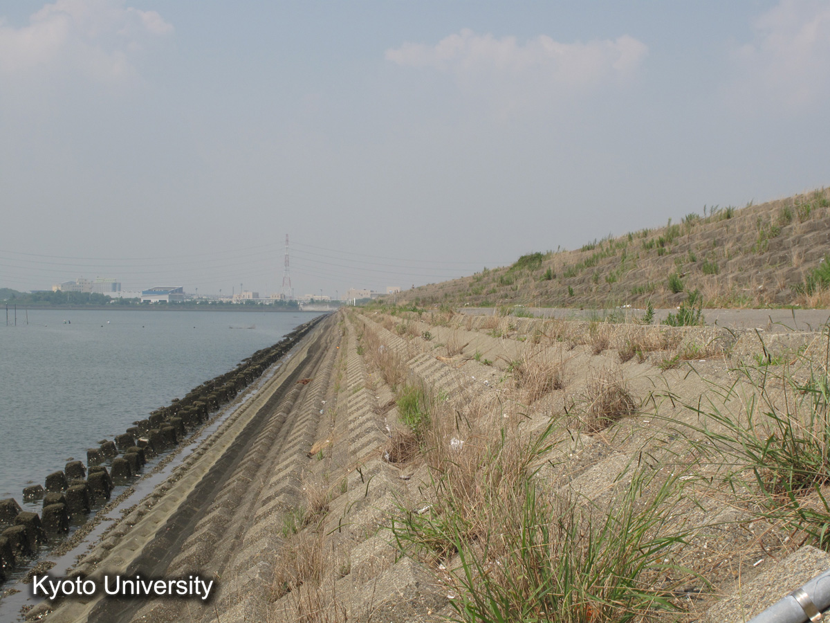 長良川河口西（2010） (1)