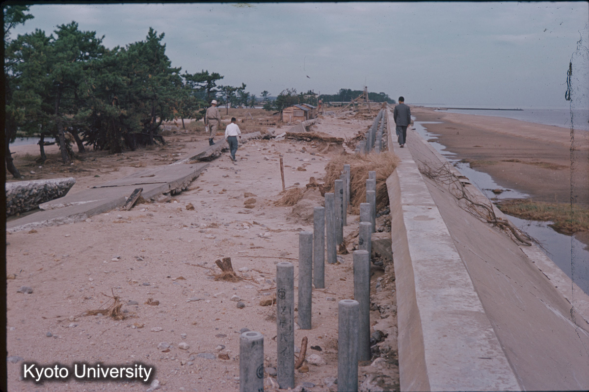 津管内　田中川　樋門の北（1959） (1)