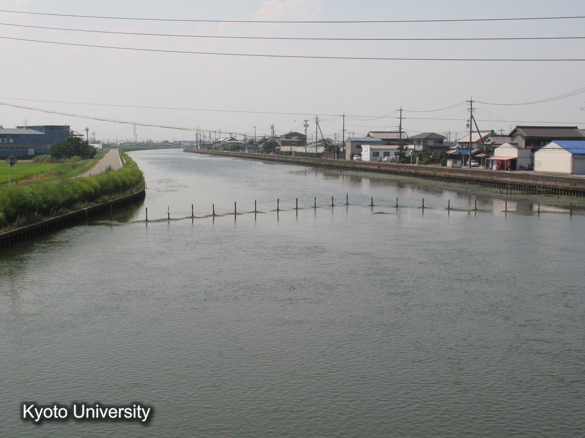 筏川右岸　破堤箇所（2010） (1)