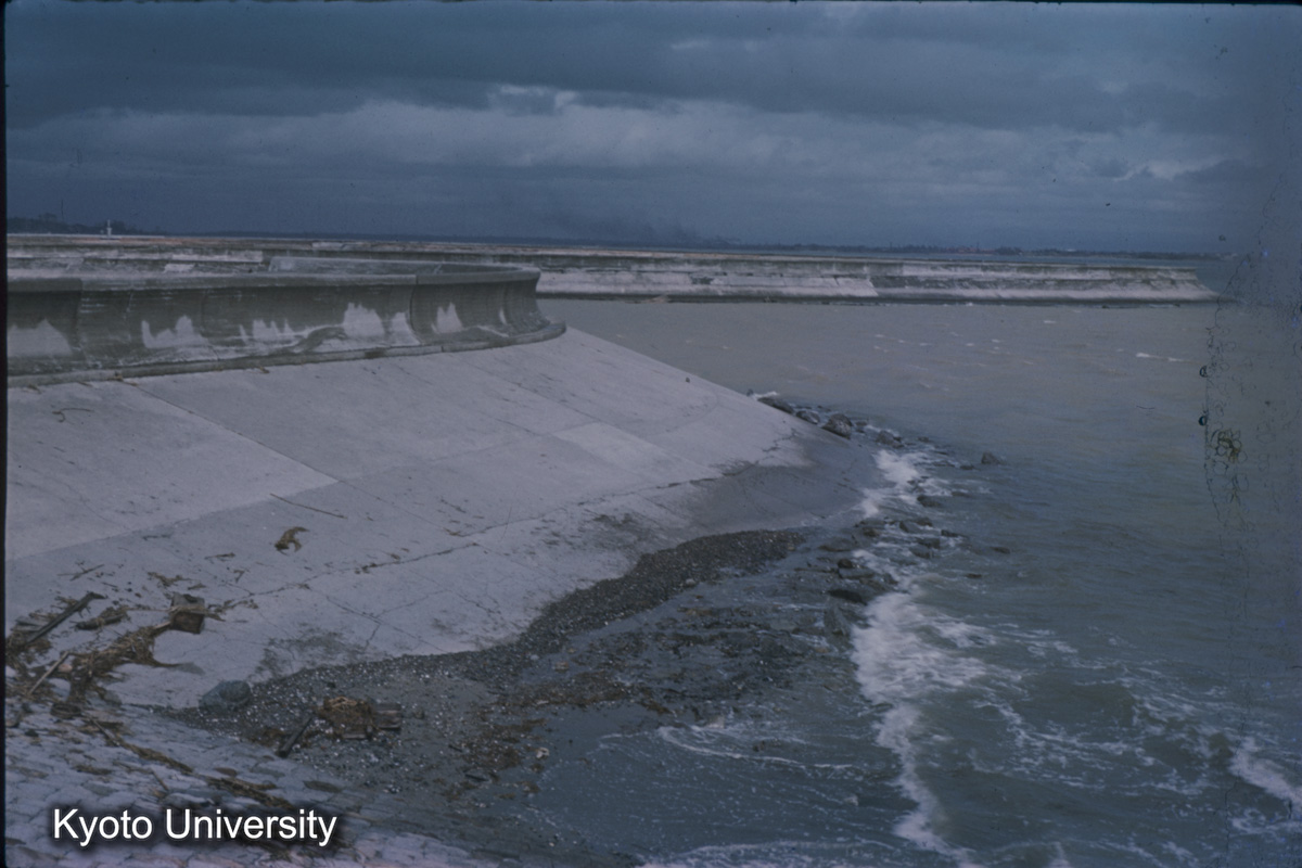 半田市海岸　康衛新田（1959） (1)