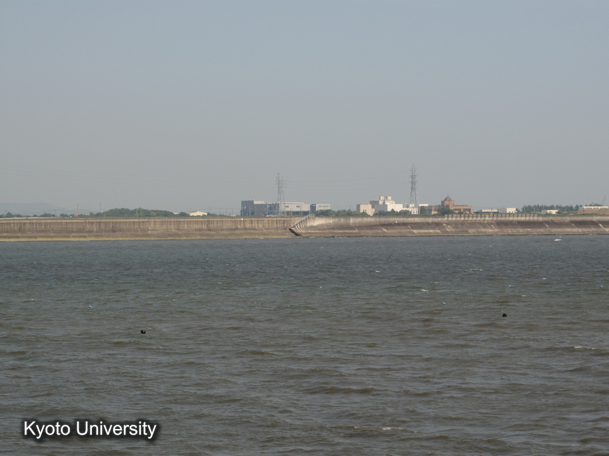 碧南新田内流木（2010） (1)