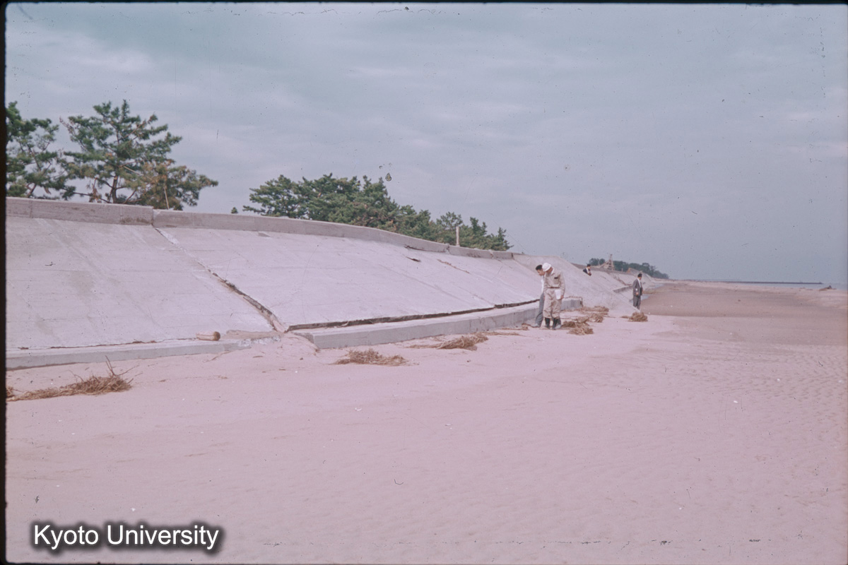 津管内　田中川　樋門の北（1959） (1)