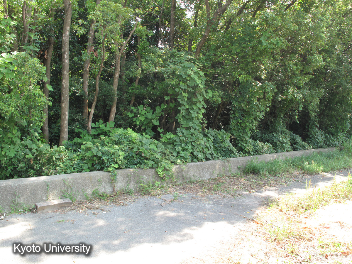 半田市　康衛新田（2010） (1)