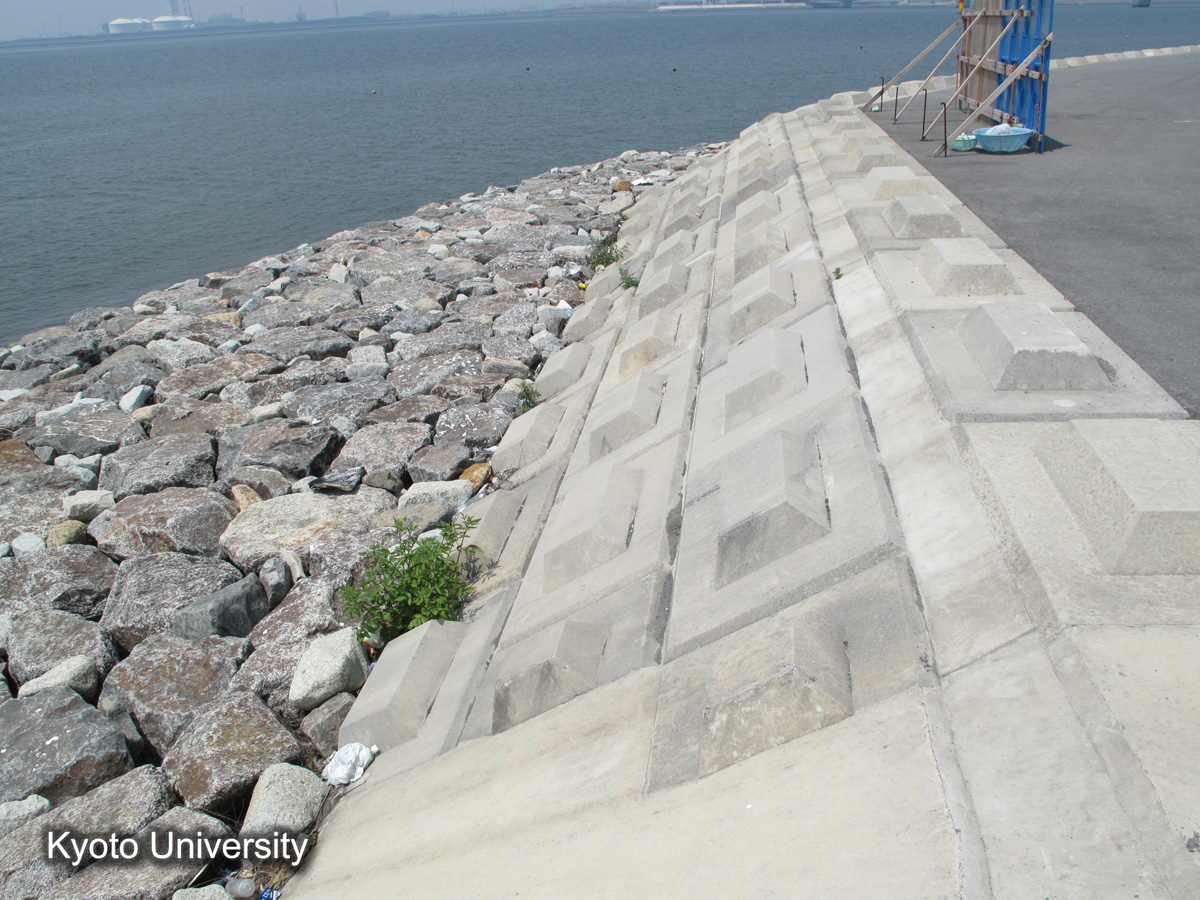 伊曽島村　前面堤（2010） (1)