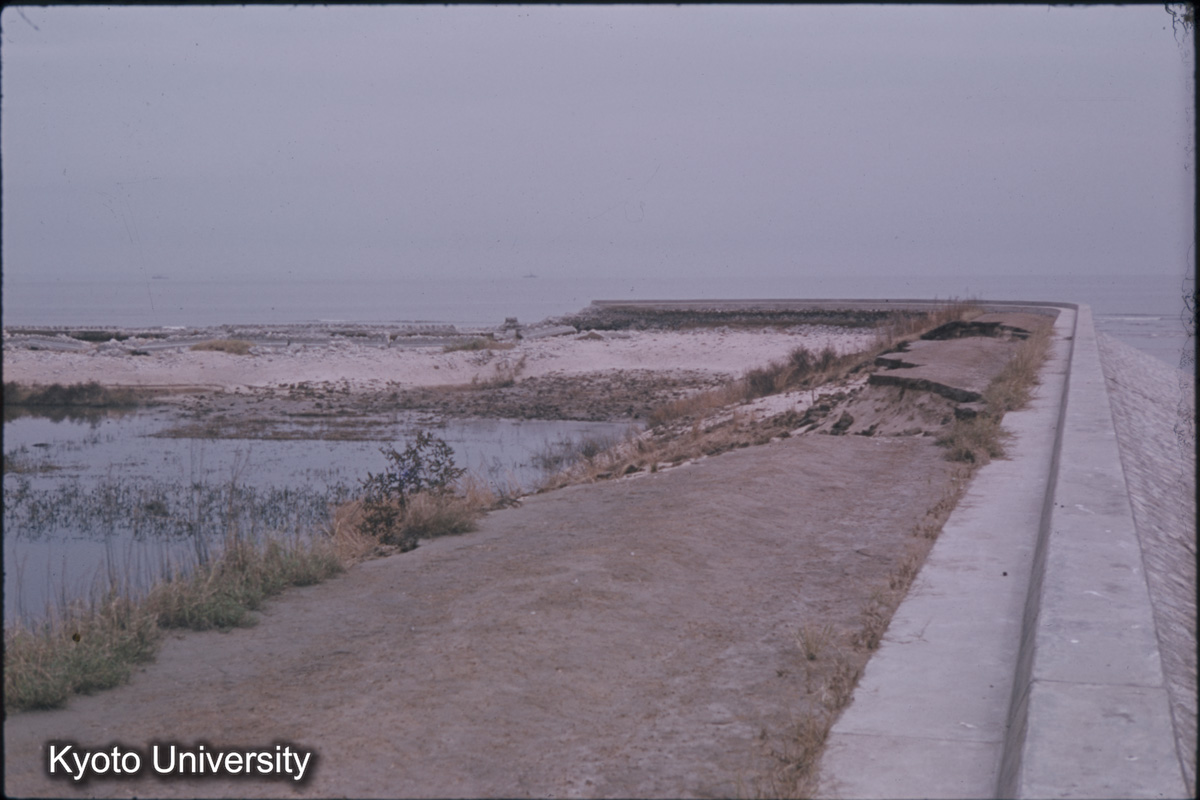 四日市管内　川越村地先（1959） (1)