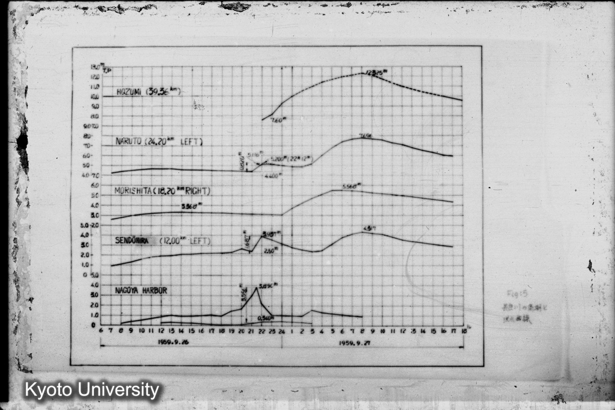 Fig. 5 長良川の高潮と洪水曲線 (1)