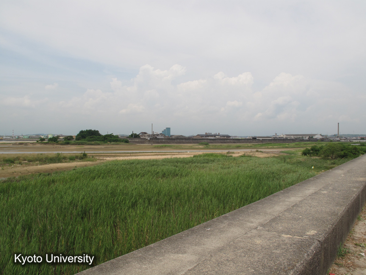 四日市管内　朝明川右岸を望む（2010） (1)