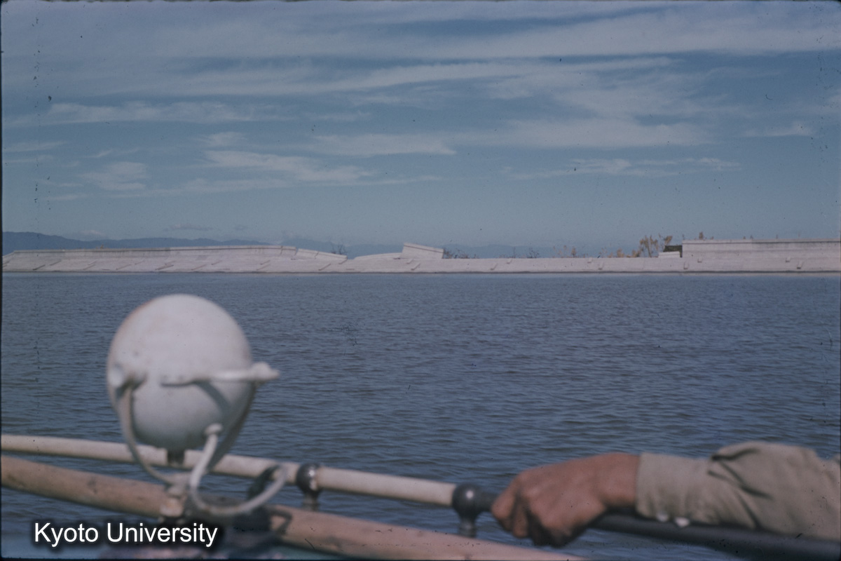 鍋田干拓東（1959） (1)