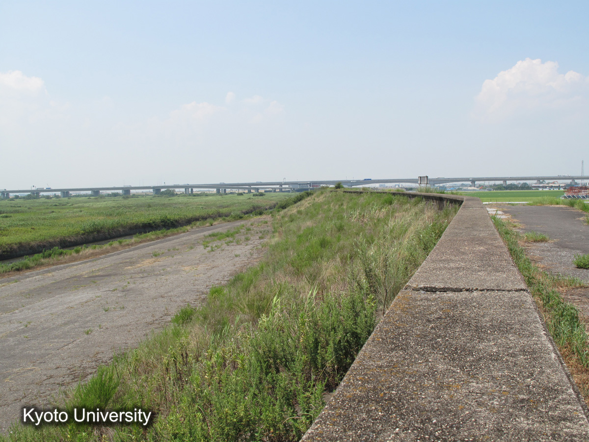 鍋田（2010） (1)
