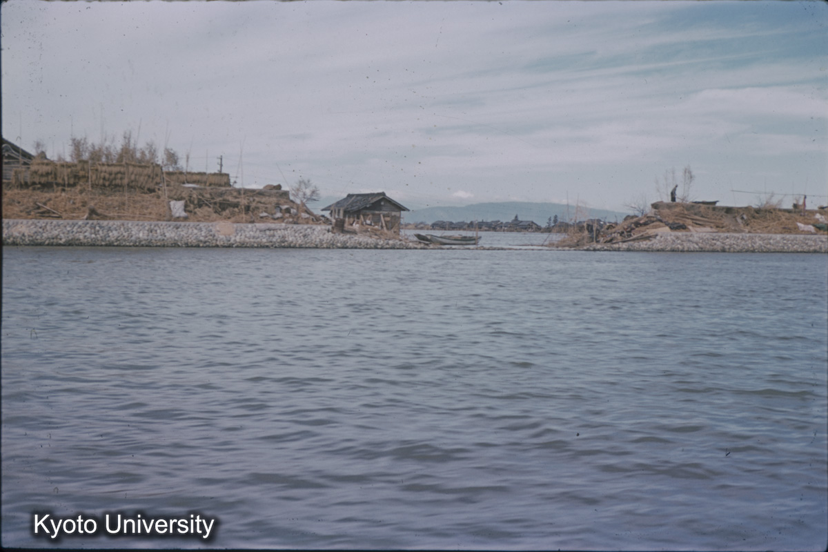 筏川右岸　破堤箇所（1959） (1)