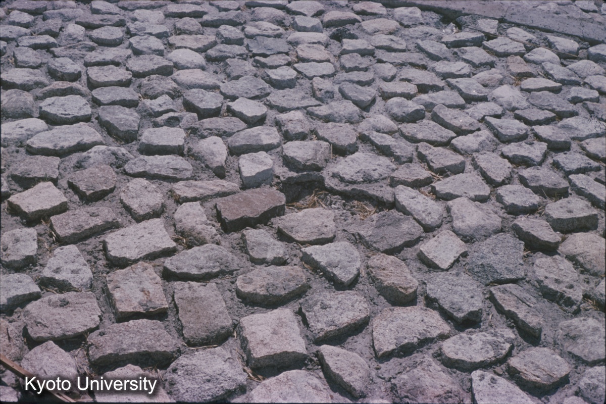 伊曽島村　前面堤（1959） (1)