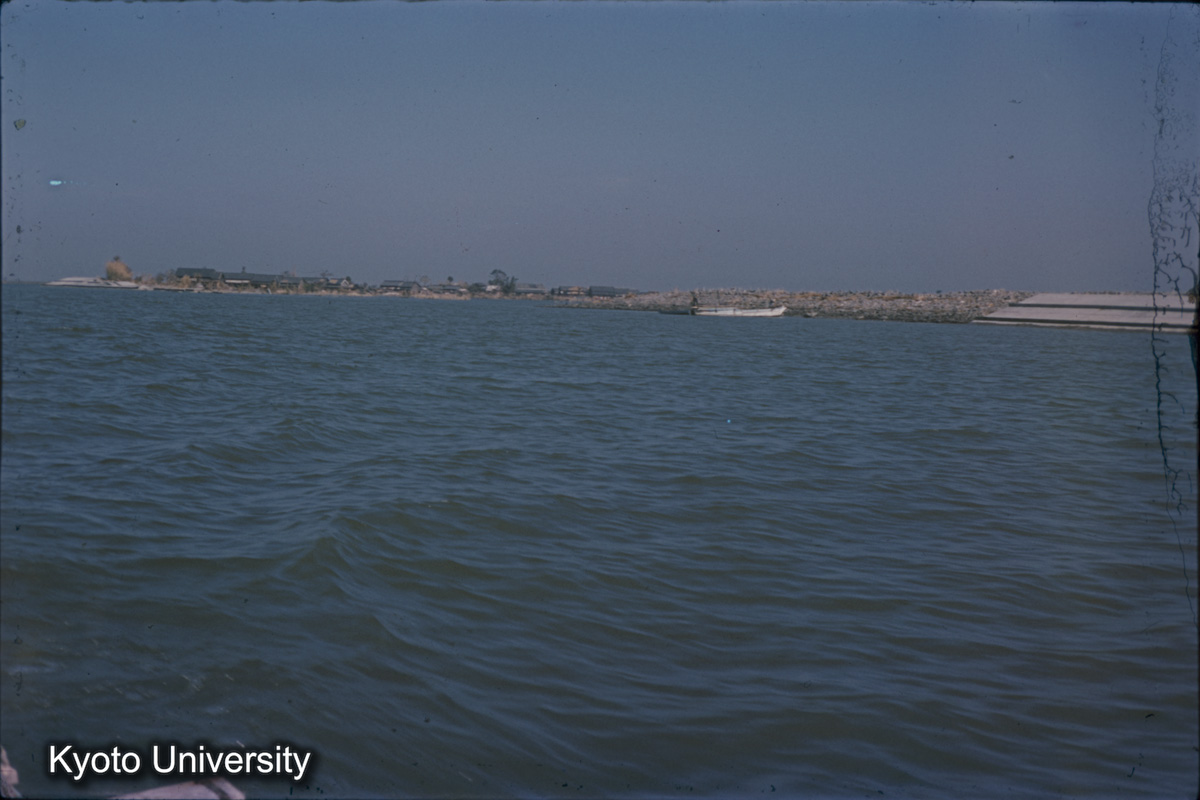 伊曽島村　前面堤破堤箇所（1959） (1)