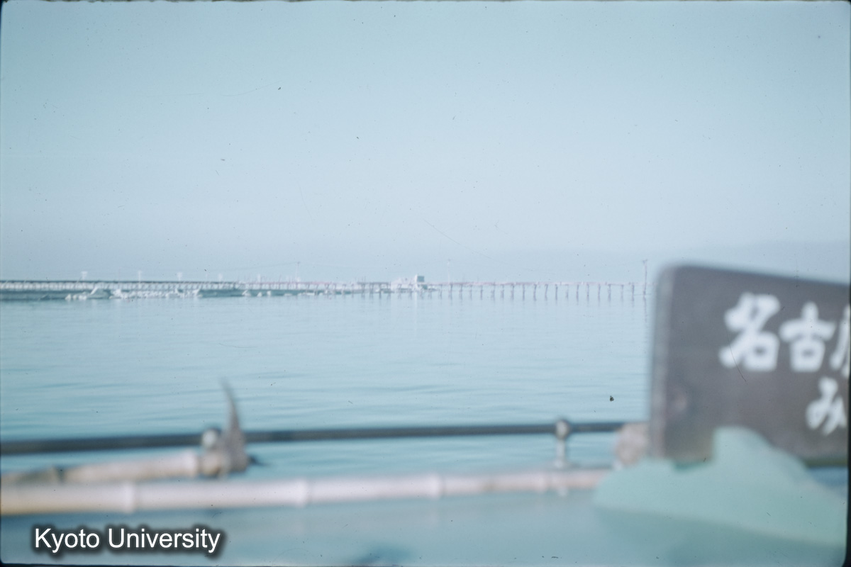 鍋田干拓（1959） (1)