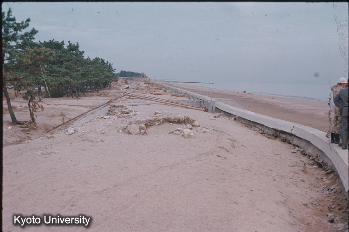 津管内　田中川　樋門の北（1959） (1)