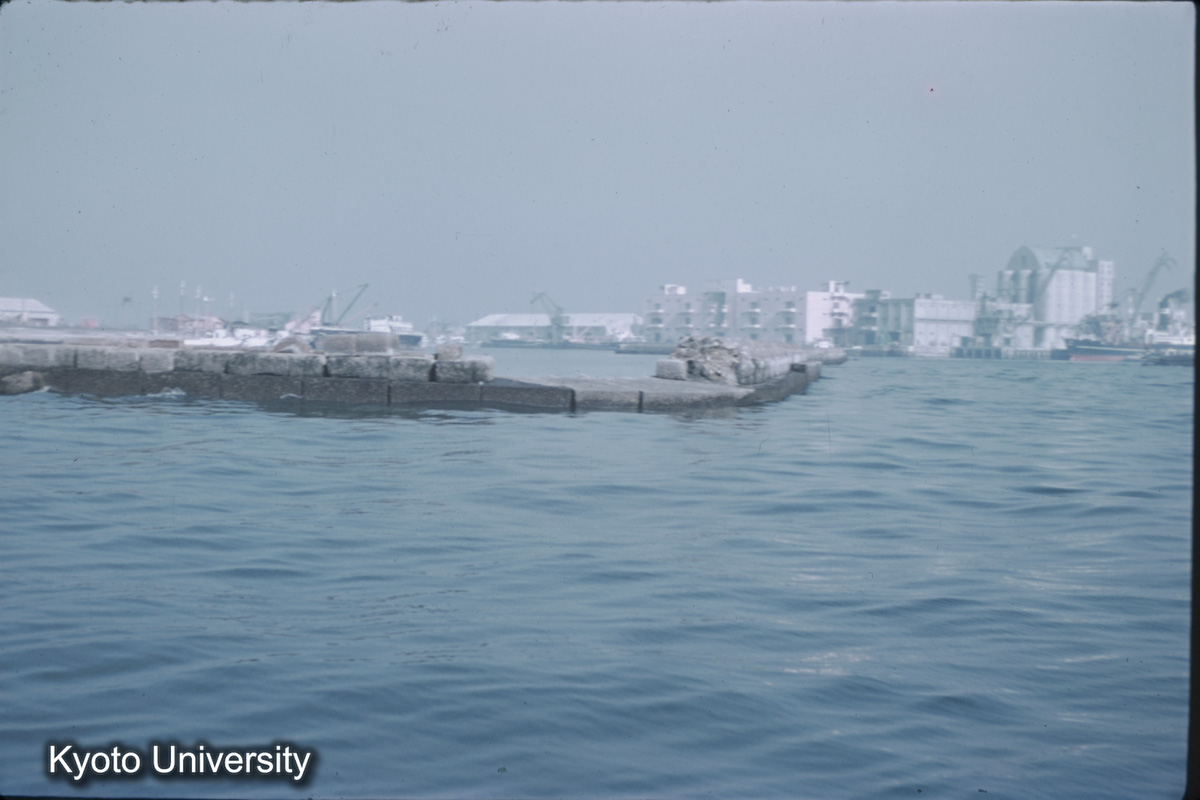 名古屋港内防波堤（1959） (1)