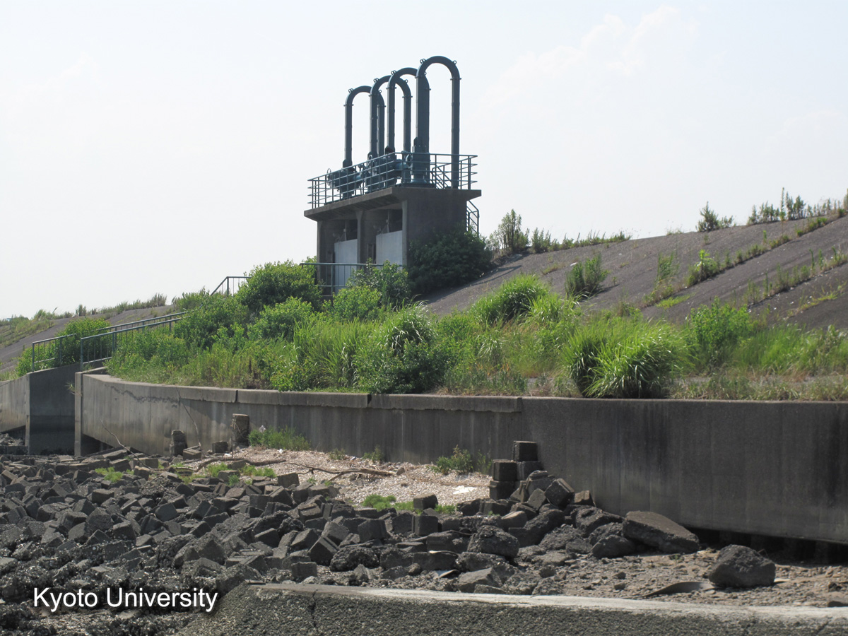 鍋田前面干拓堤（2010） (1)