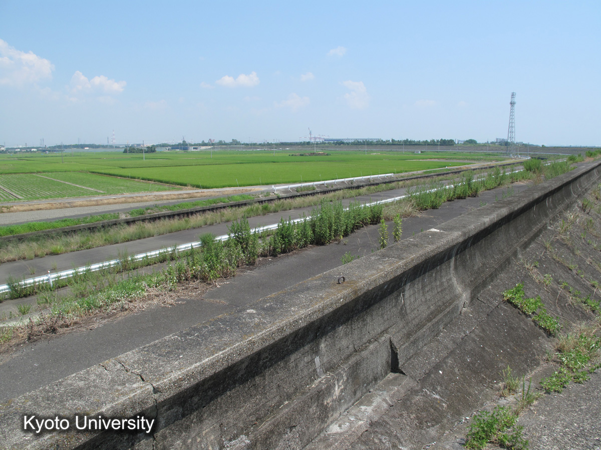 鍋田干拓旧堤（2010） (1)