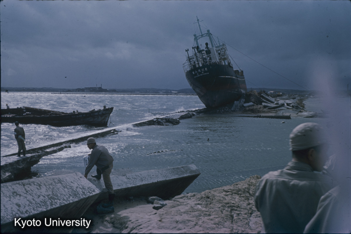 半田市　康衛新田（1959） (1)
