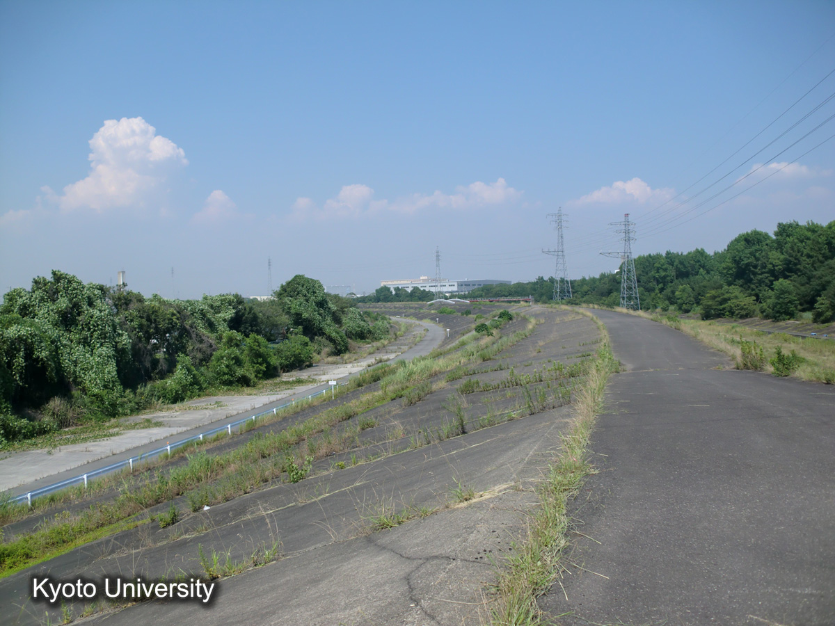 鍋田干拓　前面堤（2010） (1)