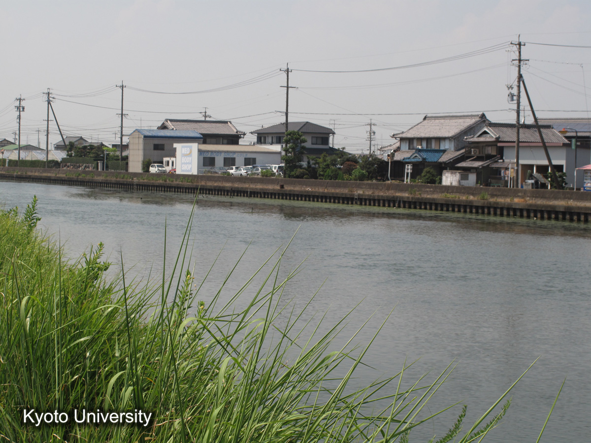 鍋田・飛島の筏川口（2010） (1)