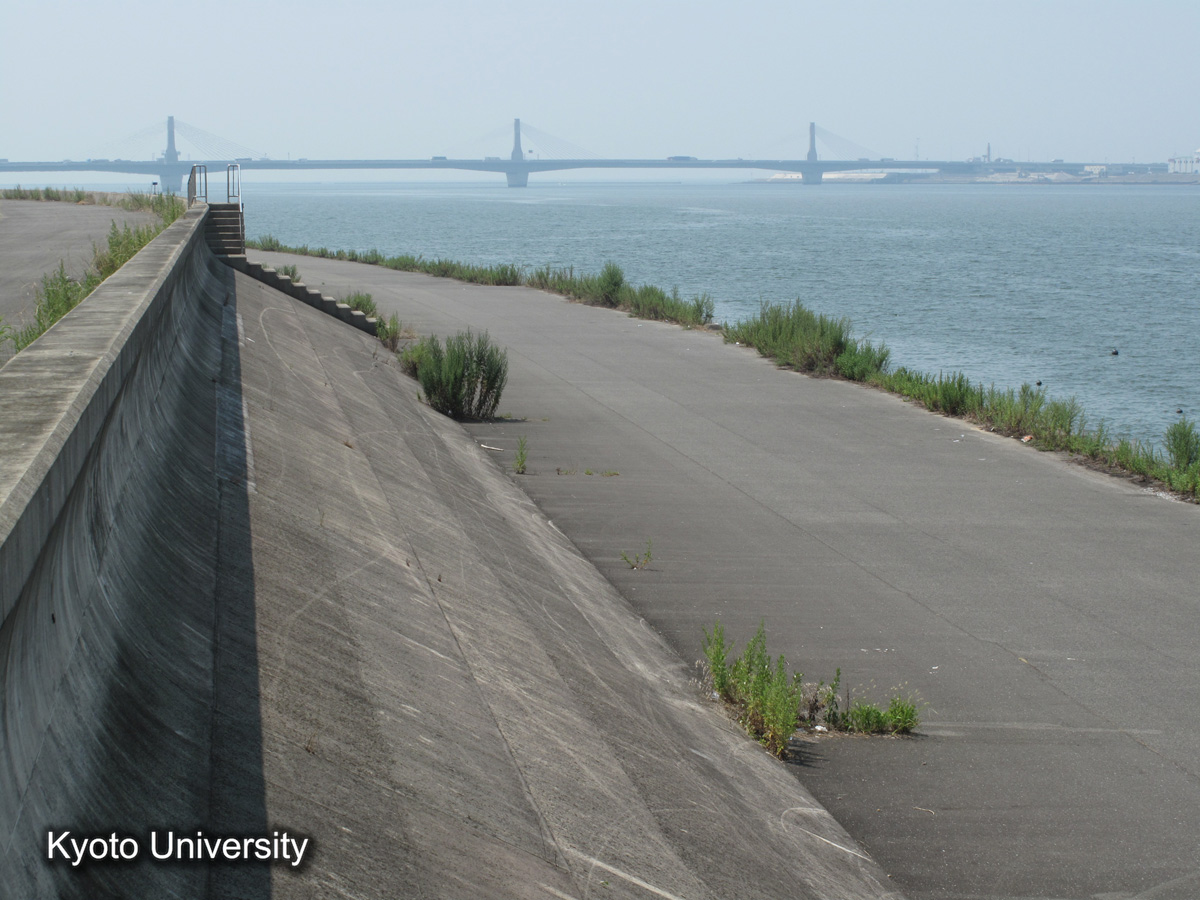 伊曽島村　前面堤破堤箇所（2010） (1)